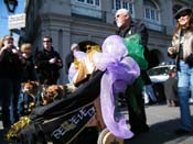 Mystic-Krewe-of-Barkus-2010-HC-Dog-Parade-Mardi-Gras-New-Orleans-8690