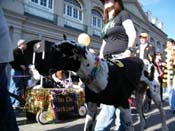 Mystic-Krewe-of-Barkus-2010-HC-Dog-Parade-Mardi-Gras-New-Orleans-8695