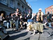 Mystic-Krewe-of-Barkus-2010-HC-Dog-Parade-Mardi-Gras-New-Orleans-8706