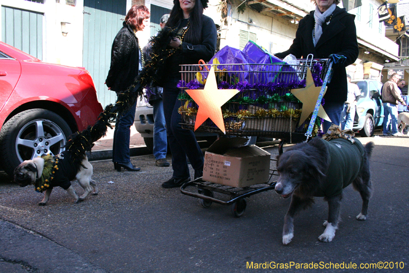 Mystic-Krewe-of-Barkus-Mardi-Gras-2010-French-Quarter-4973