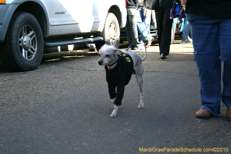 Mystic-Krewe-of-Barkus-Mardi-Gras-2010-French-Quarter-4983