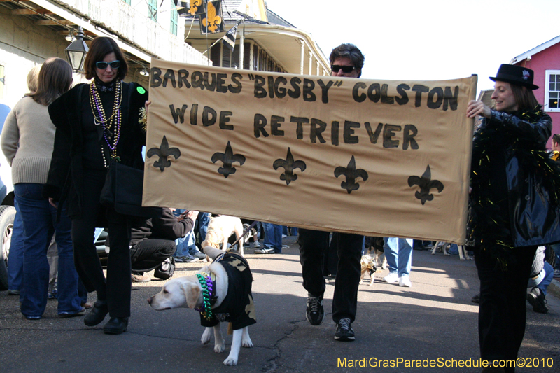 Mystic-Krewe-of-Barkus-Mardi-Gras-2010-French-Quarter-4989