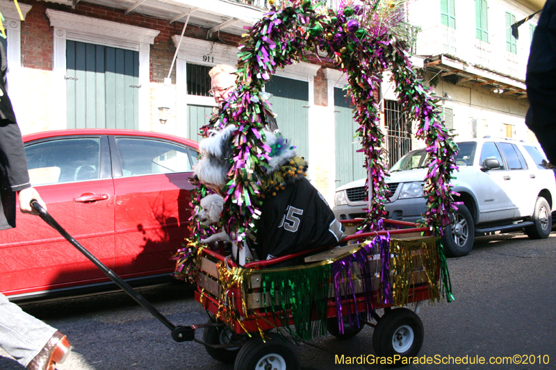 Mystic-Krewe-of-Barkus-Mardi-Gras-2010-French-Quarter-5001