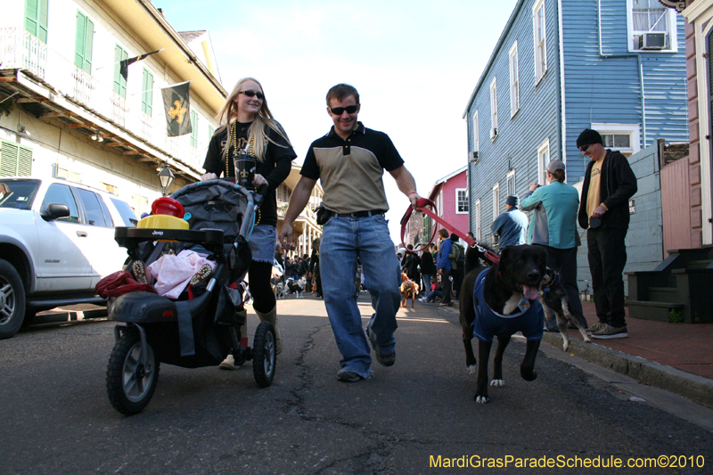 Mystic-Krewe-of-Barkus-Mardi-Gras-2010-French-Quarter-5004