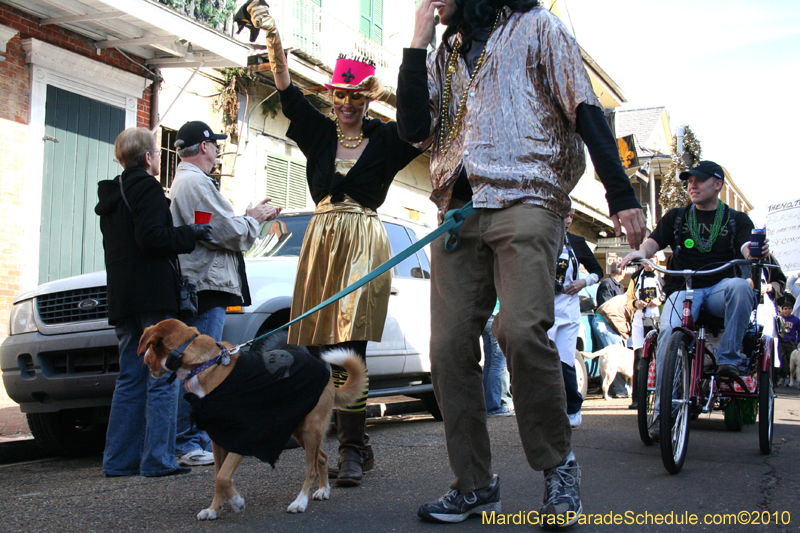 Mystic-Krewe-of-Barkus-Mardi-Gras-2010-French-Quarter-5008