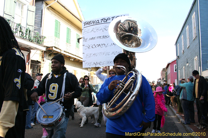 Mystic-Krewe-of-Barkus-Mardi-Gras-2010-French-Quarter-5013