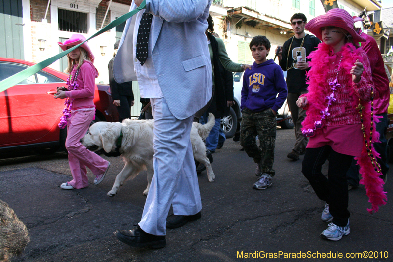 Mystic-Krewe-of-Barkus-Mardi-Gras-2010-French-Quarter-5014