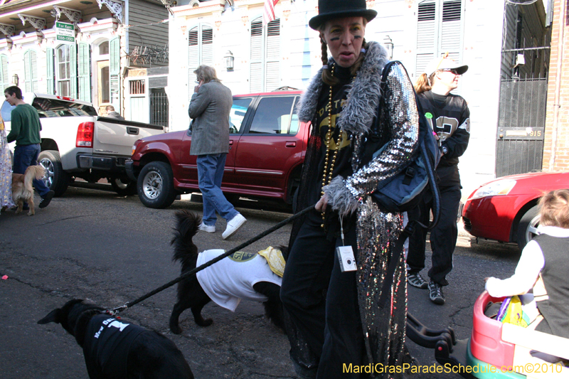 Mystic-Krewe-of-Barkus-Mardi-Gras-2010-French-Quarter-5020