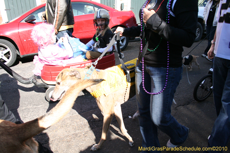 Mystic-Krewe-of-Barkus-Mardi-Gras-2010-French-Quarter-5021