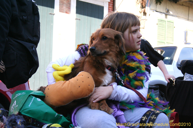 Mystic-Krewe-of-Barkus-Mardi-Gras-2010-French-Quarter-5036