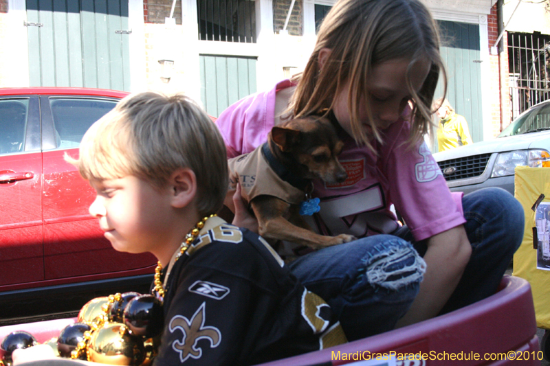 Mystic-Krewe-of-Barkus-Mardi-Gras-2010-French-Quarter-5038