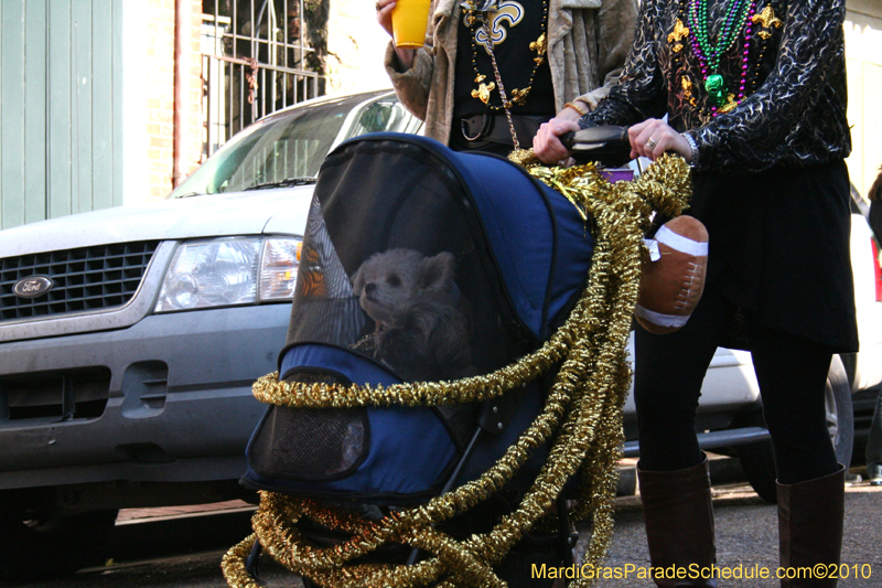 Mystic-Krewe-of-Barkus-Mardi-Gras-2010-French-Quarter-5042