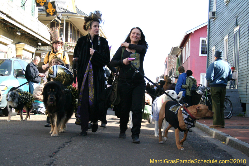 Mystic-Krewe-of-Barkus-Mardi-Gras-2010-French-Quarter-5045