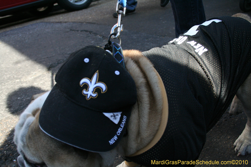 Mystic-Krewe-of-Barkus-Mardi-Gras-2010-French-Quarter-5054