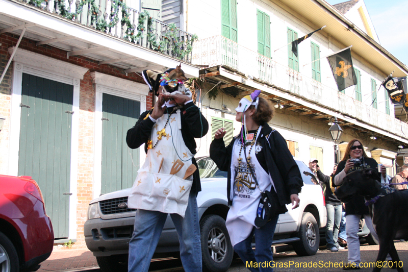 Mystic-Krewe-of-Barkus-Mardi-Gras-2010-French-Quarter-5056