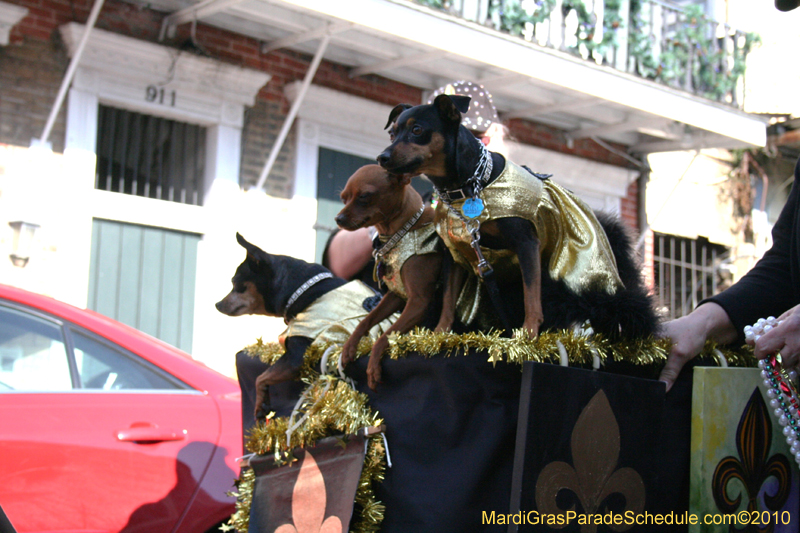 Mystic-Krewe-of-Barkus-Mardi-Gras-2010-French-Quarter-5066