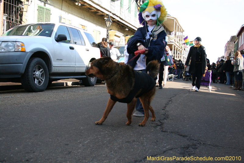 Mystic-Krewe-of-Barkus-Mardi-Gras-2010-French-Quarter-5070