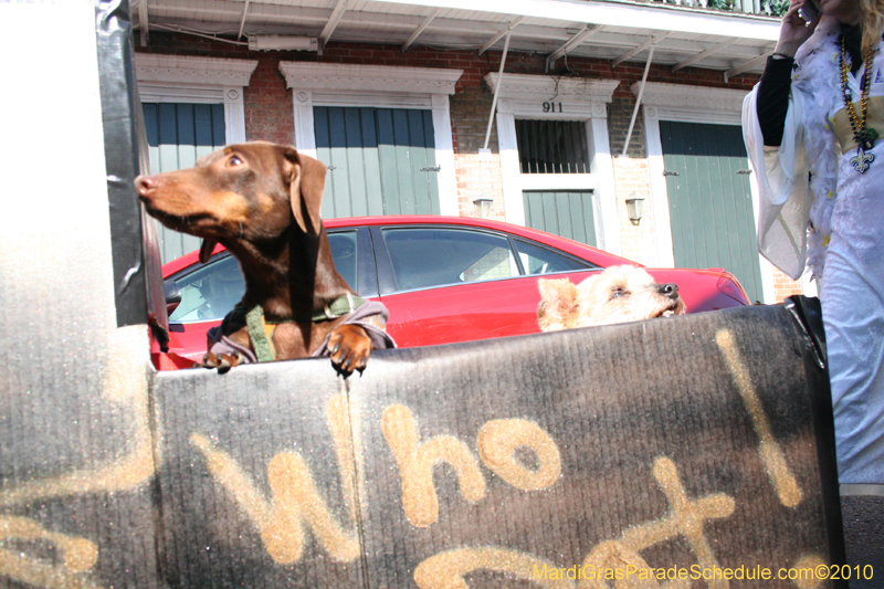 Mystic-Krewe-of-Barkus-Mardi-Gras-2010-French-Quarter-5082