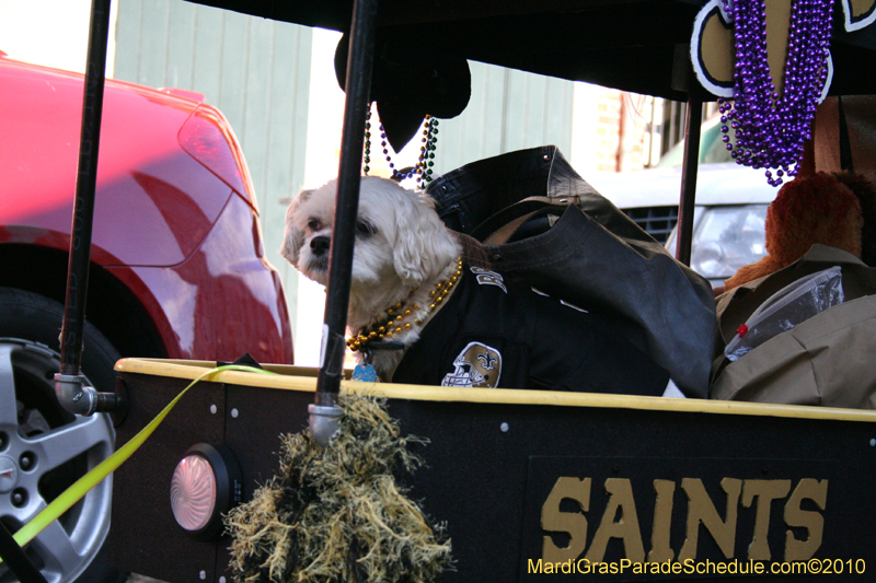 Mystic-Krewe-of-Barkus-Mardi-Gras-2010-French-Quarter-5088