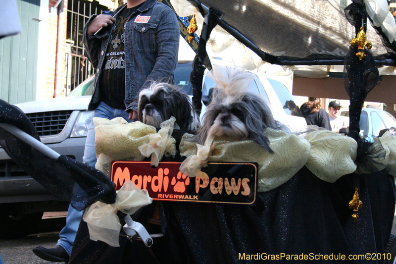 Mystic-Krewe-of-Barkus-Mardi-Gras-2010-French-Quarter-5098