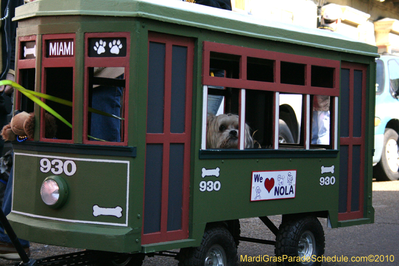 Mystic-Krewe-of-Barkus-Mardi-Gras-2010-French-Quarter-5099