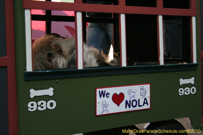 Mystic-Krewe-of-Barkus-Mardi-Gras-2010-French-Quarter-5100