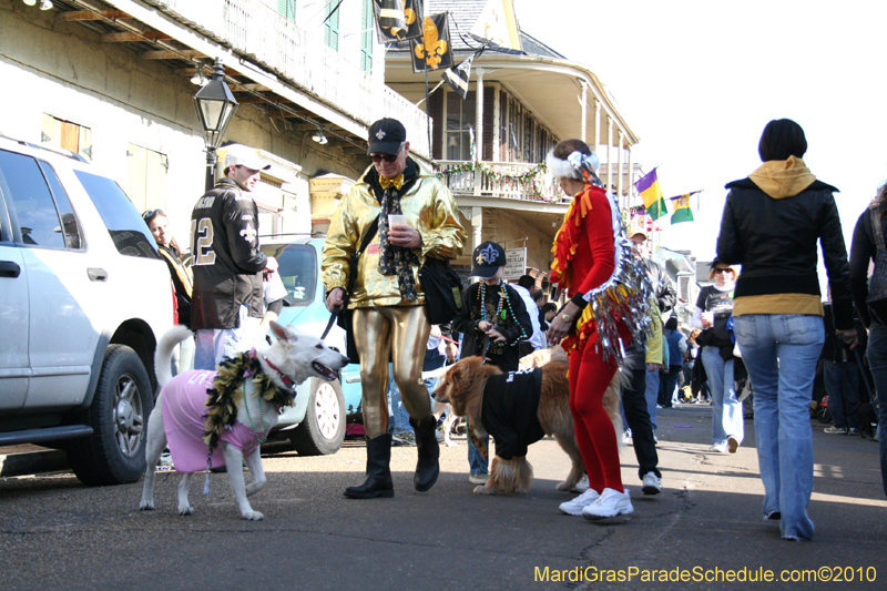 Mystic-Krewe-of-Barkus-Mardi-Gras-2010-French-Quarter-5105