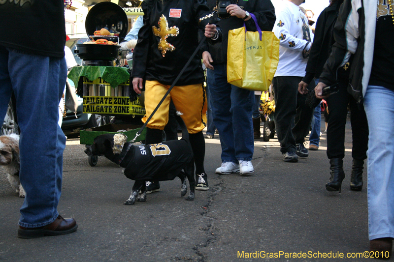 Mystic-Krewe-of-Barkus-Mardi-Gras-2010-French-Quarter-5129