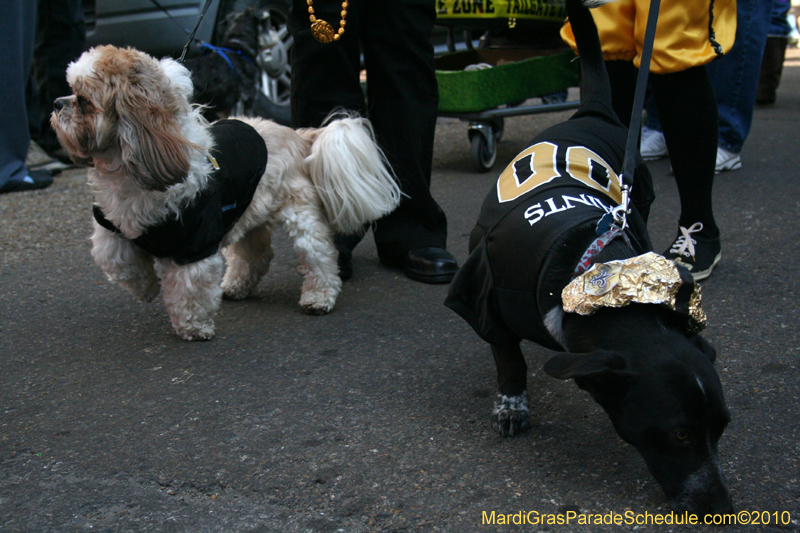 Mystic-Krewe-of-Barkus-Mardi-Gras-2010-French-Quarter-5130