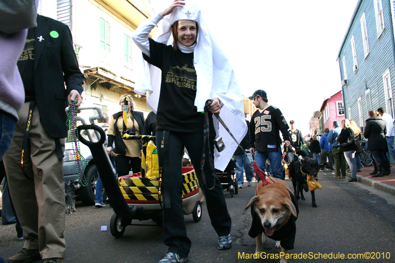 Mystic-Krewe-of-Barkus-Mardi-Gras-2010-French-Quarter-5135