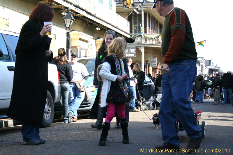 Mystic-Krewe-of-Barkus-Mardi-Gras-2010-French-Quarter-5148