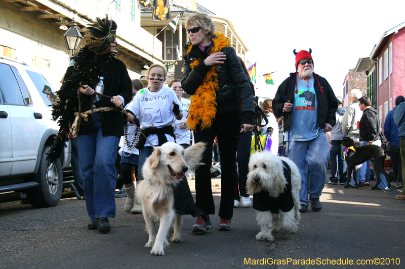 Mystic-Krewe-of-Barkus-Mardi-Gras-2010-French-Quarter-5154