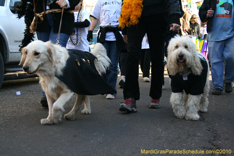 Mystic-Krewe-of-Barkus-Mardi-Gras-2010-French-Quarter-5155