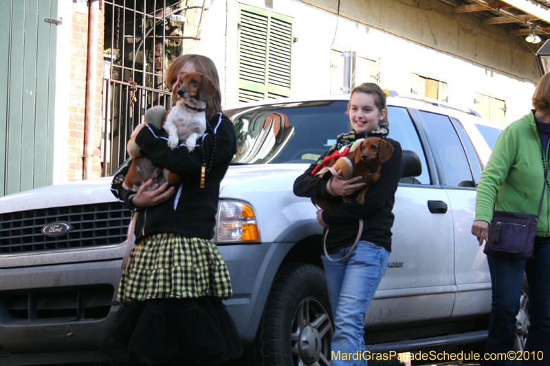 Mystic-Krewe-of-Barkus-Mardi-Gras-2010-French-Quarter-5160