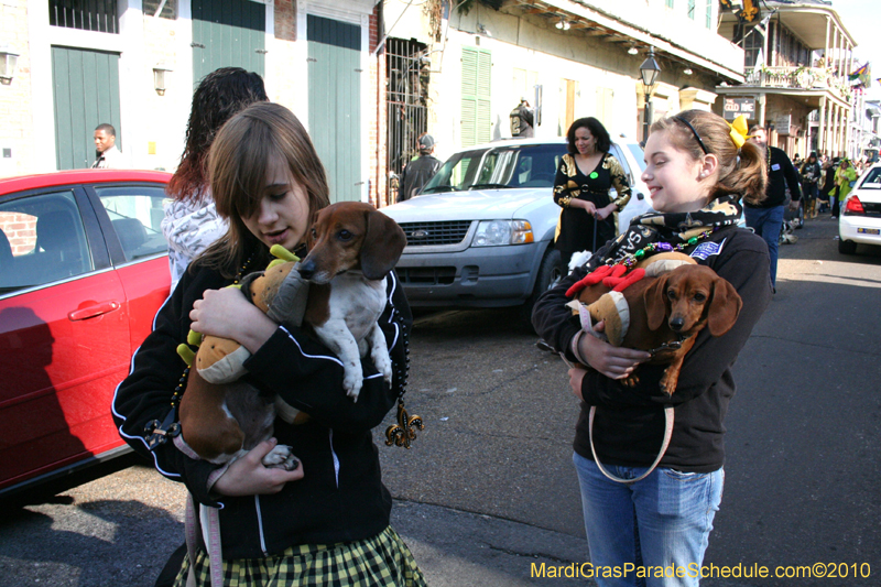 Mystic-Krewe-of-Barkus-Mardi-Gras-2010-French-Quarter-5162