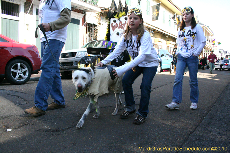 Mystic-Krewe-of-Barkus-Mardi-Gras-2010-French-Quarter-5165