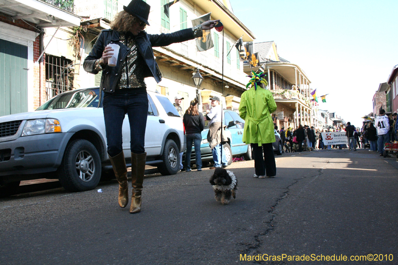 Mystic-Krewe-of-Barkus-Mardi-Gras-2010-French-Quarter-5167