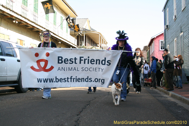 Mystic-Krewe-of-Barkus-Mardi-Gras-2010-French-Quarter-5169