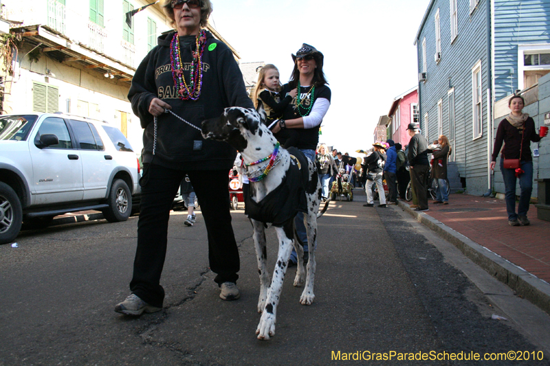 Mystic-Krewe-of-Barkus-Mardi-Gras-2010-French-Quarter-5171