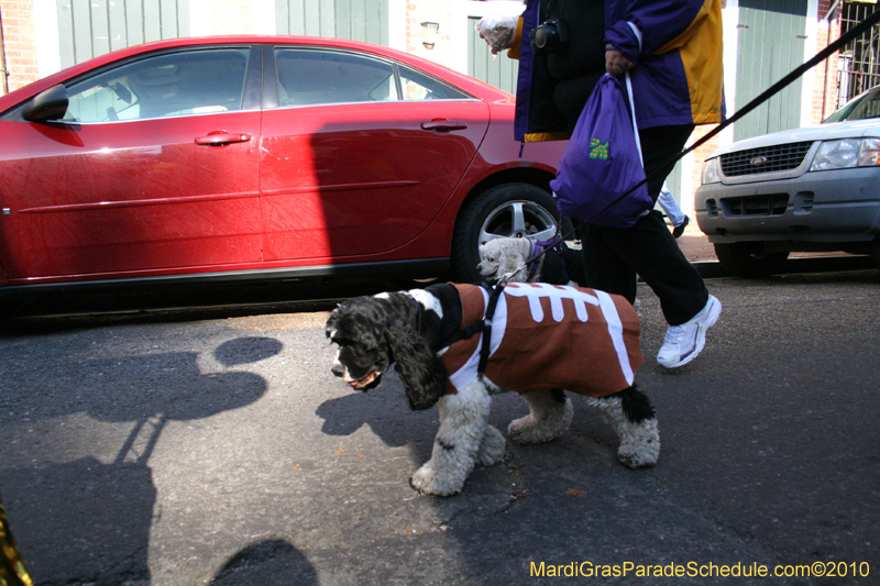 Mystic-Krewe-of-Barkus-Mardi-Gras-2010-French-Quarter-5177