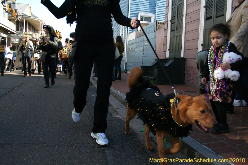 Mystic-Krewe-of-Barkus-Mardi-Gras-2010-French-Quarter-5182