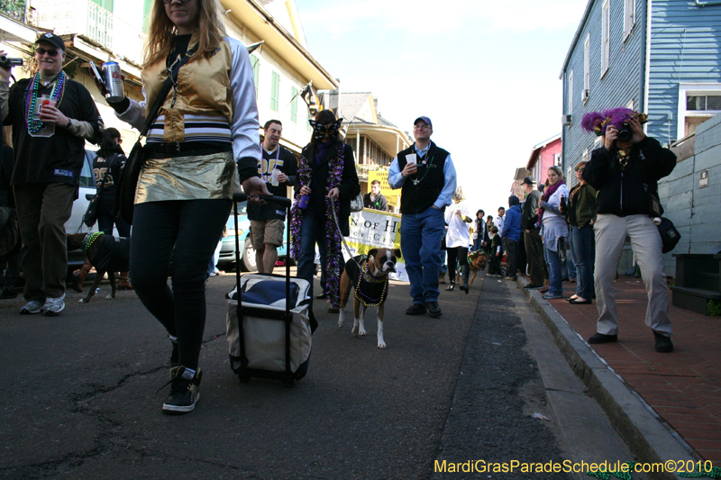 Mystic-Krewe-of-Barkus-Mardi-Gras-2010-French-Quarter-5187