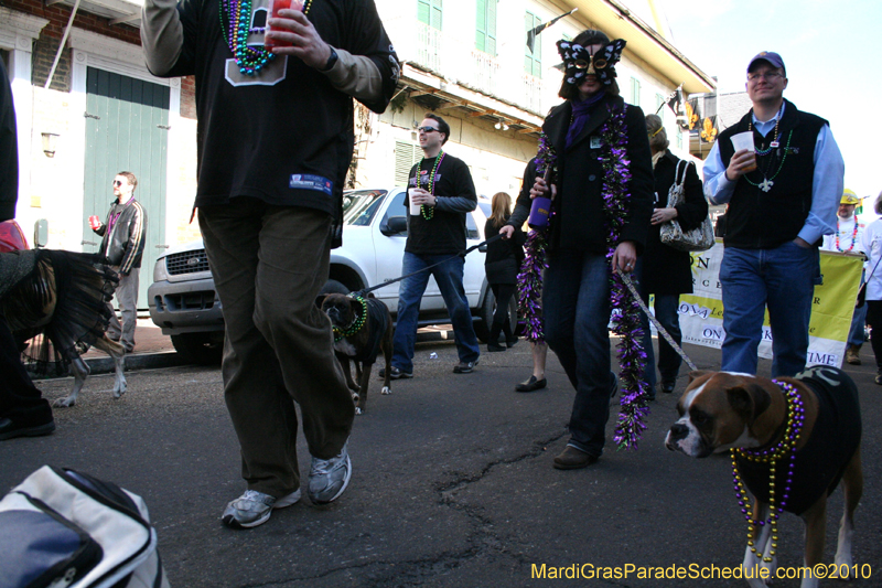 Mystic-Krewe-of-Barkus-Mardi-Gras-2010-French-Quarter-5188