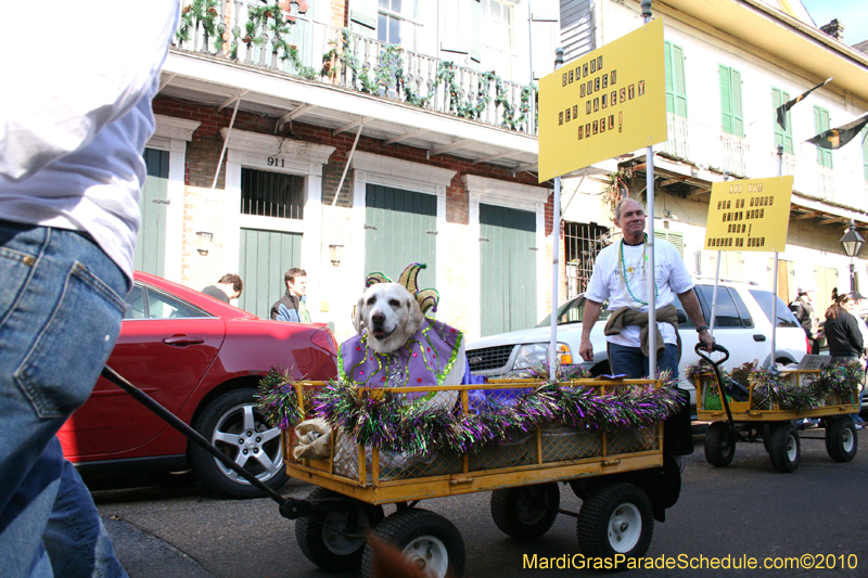 Mystic-Krewe-of-Barkus-Mardi-Gras-2010-French-Quarter-5191