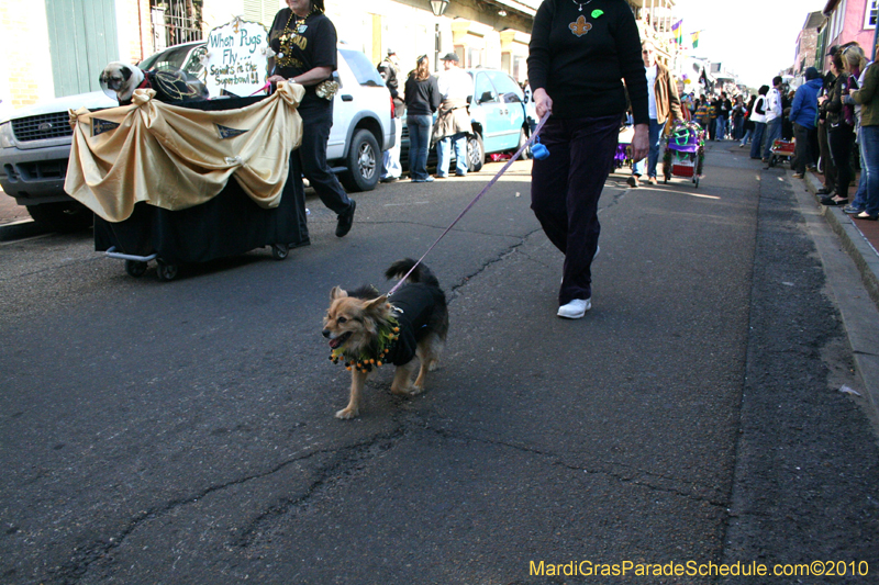 Mystic-Krewe-of-Barkus-Mardi-Gras-2010-French-Quarter-5194