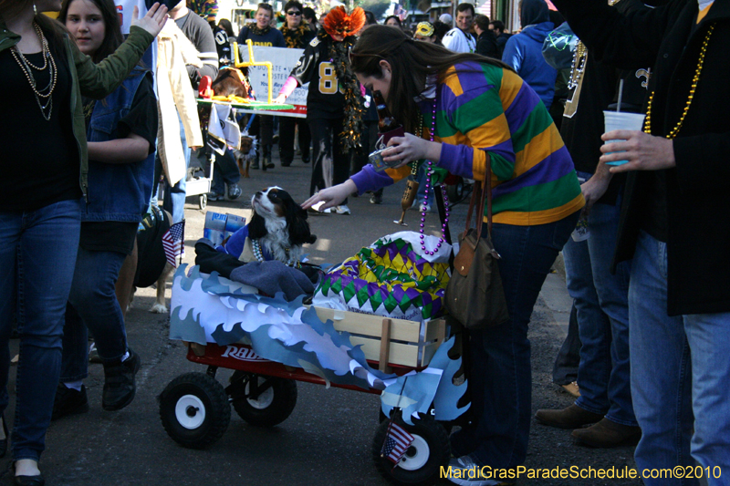 Mystic-Krewe-of-Barkus-Mardi-Gras-2010-French-Quarter-5198