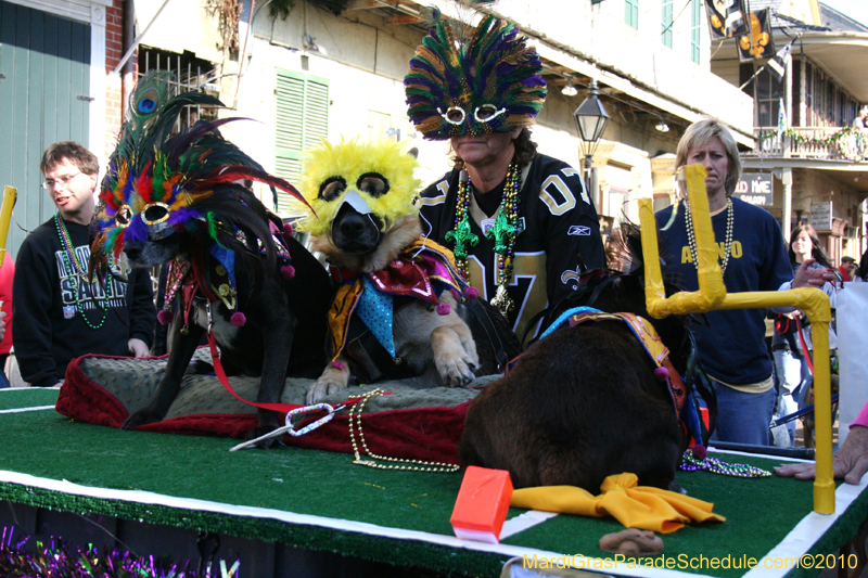 Mystic-Krewe-of-Barkus-Mardi-Gras-2010-French-Quarter-5202