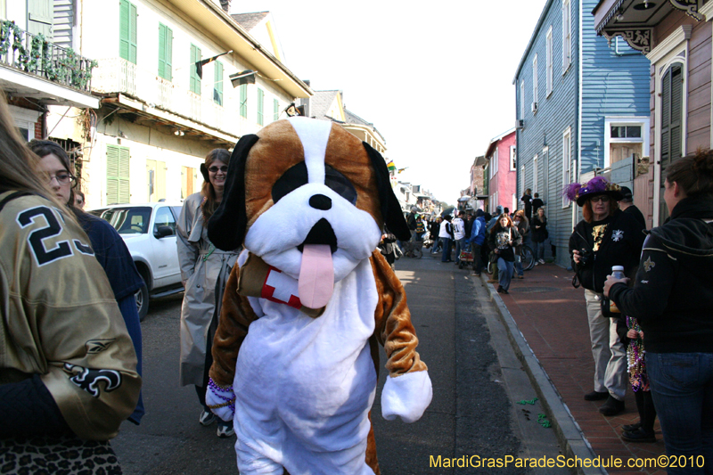 Mystic-Krewe-of-Barkus-Mardi-Gras-2010-French-Quarter-5209