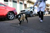 Mystic-Krewe-of-Barkus-Mardi-Gras-2010-French-Quarter-5003