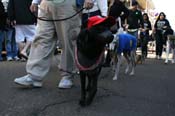 Mystic-Krewe-of-Barkus-Mardi-Gras-2010-French-Quarter-5026